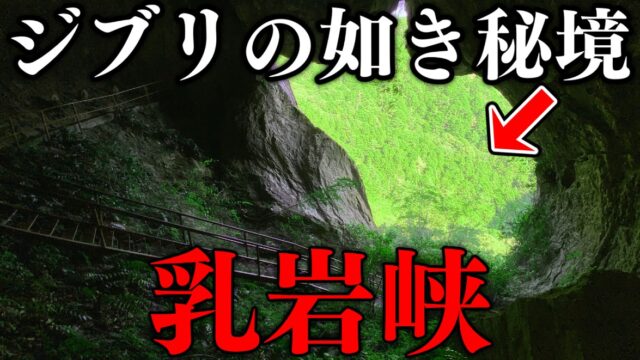 【まるで屋久島】秘境「乳岩峡」を訪ねて｜愛知県新城市