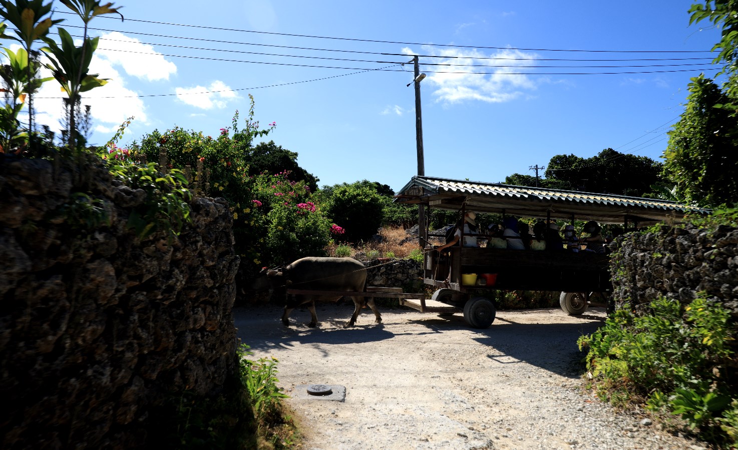 【竹富観光センター】死ぬまでに行きたい竹富島の絶景スポット