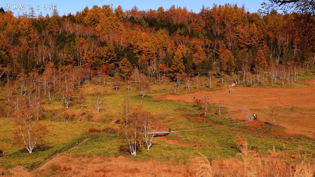 Shiga Kogen and Tanohara Marshland in autumn foliage
