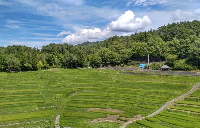 Yokone Rice Paddies｜Nagano Prefecture, Japan's most scenic spot