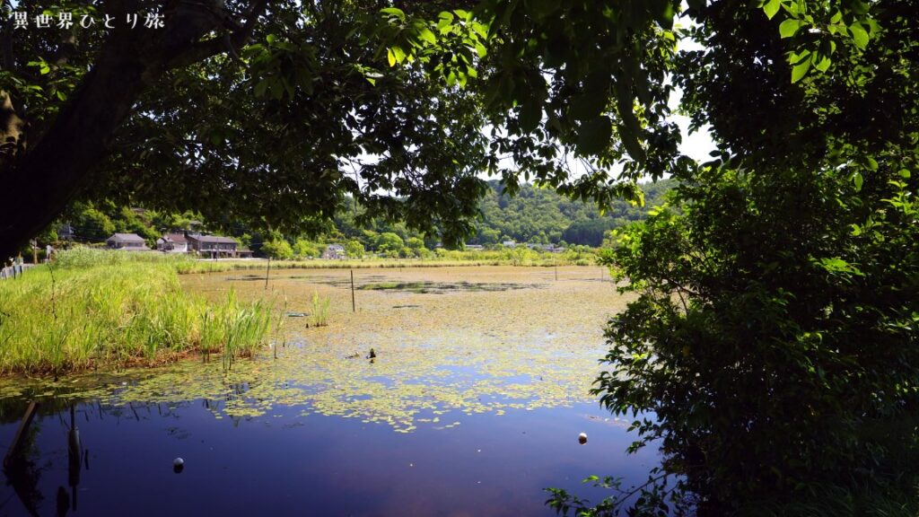 Kyoto Magic World Guide｜Fukamori-ike Pond