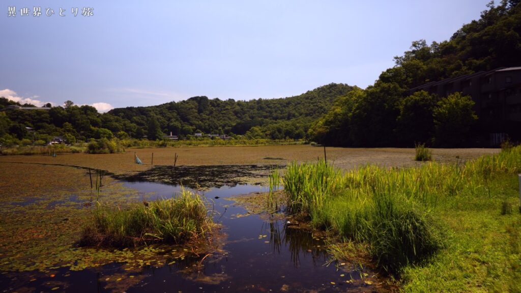 Kyoto Magic World Guide｜Fukamori-ike Pond