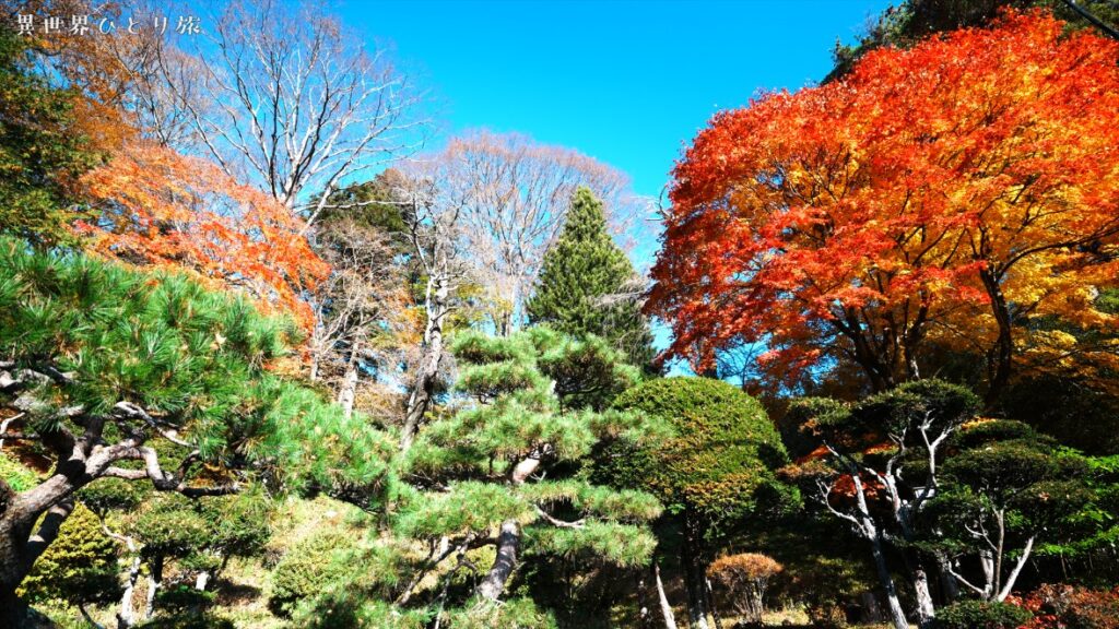 死ぬまでに行きたい奈良井宿の絶景スポット