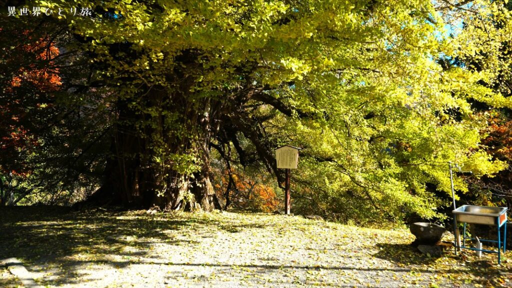 【最も美しい村】長野県大鹿村の絶景スポット