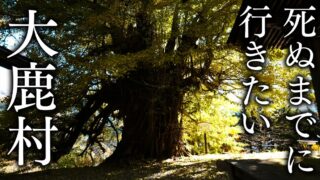 【観光名所いっぱい！】長野県大鹿村の絶景スポット5選まとめ