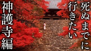 【神護寺エリア4選】死ぬまでに行きたい京都の紅葉絶景