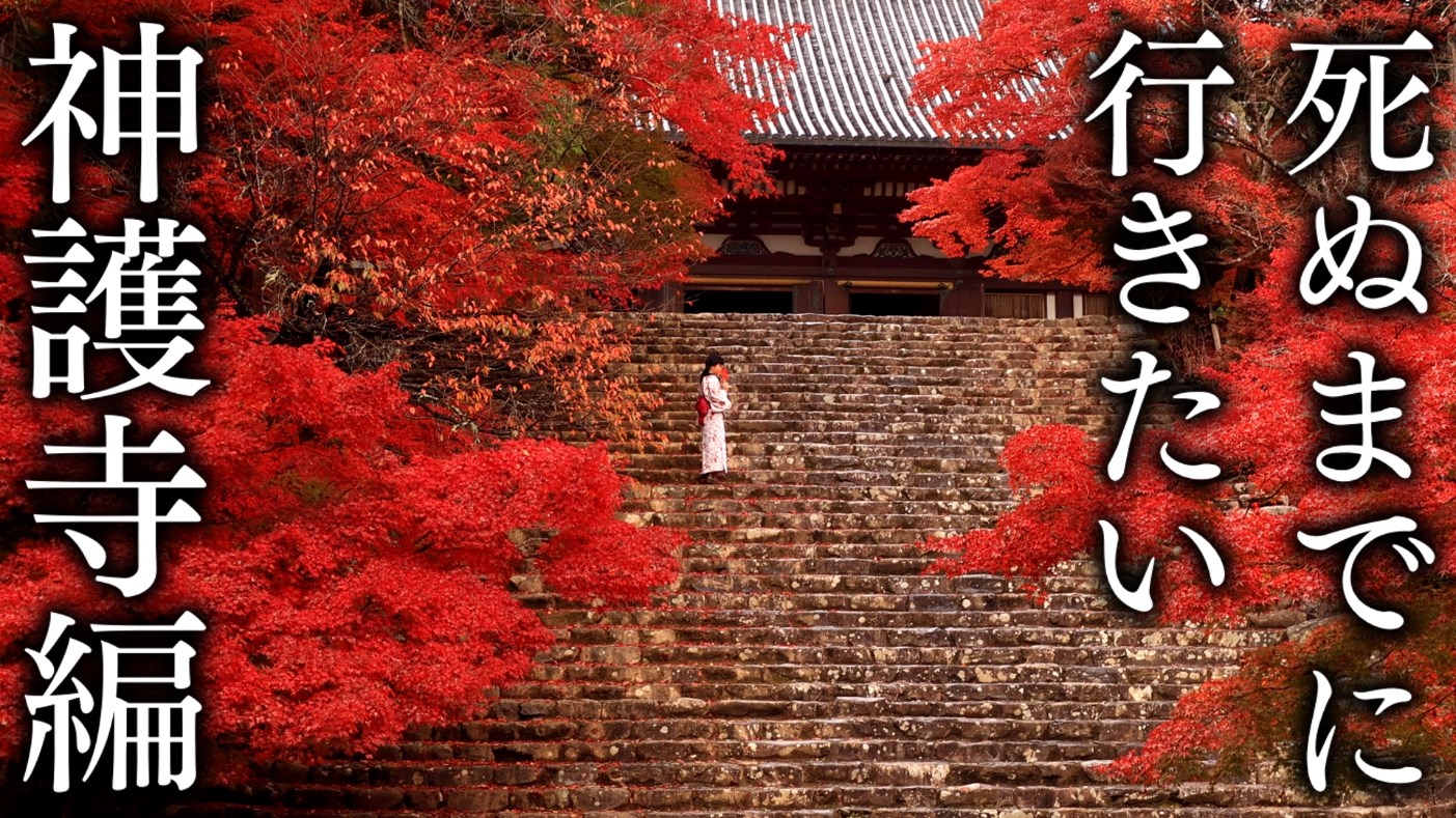 【神護寺エリア3選】死ぬまでに行きたい京都の紅葉絶景
