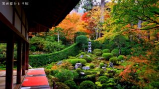 【大原エリア8選】死ぬまでに行きたい京都の絶景(三千院～勝林院～寂光院)