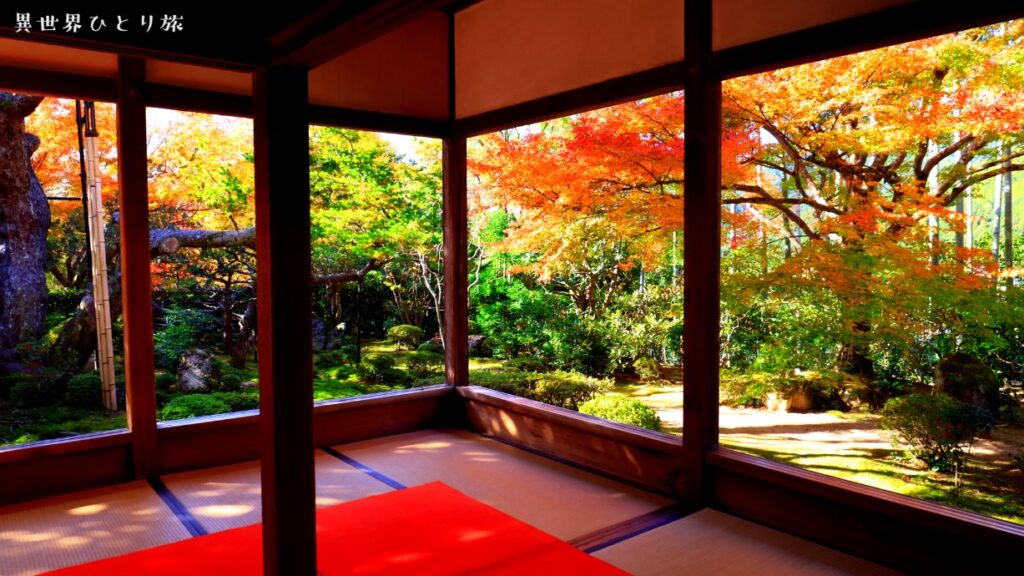 京都、大原、宝泉院の庭園