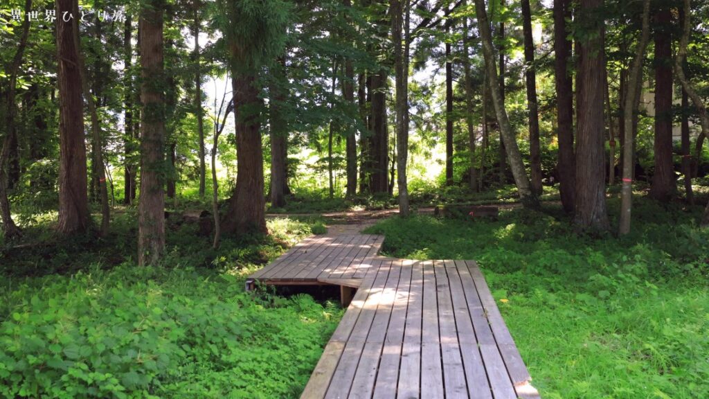 白馬村の絶景、木流川散策路