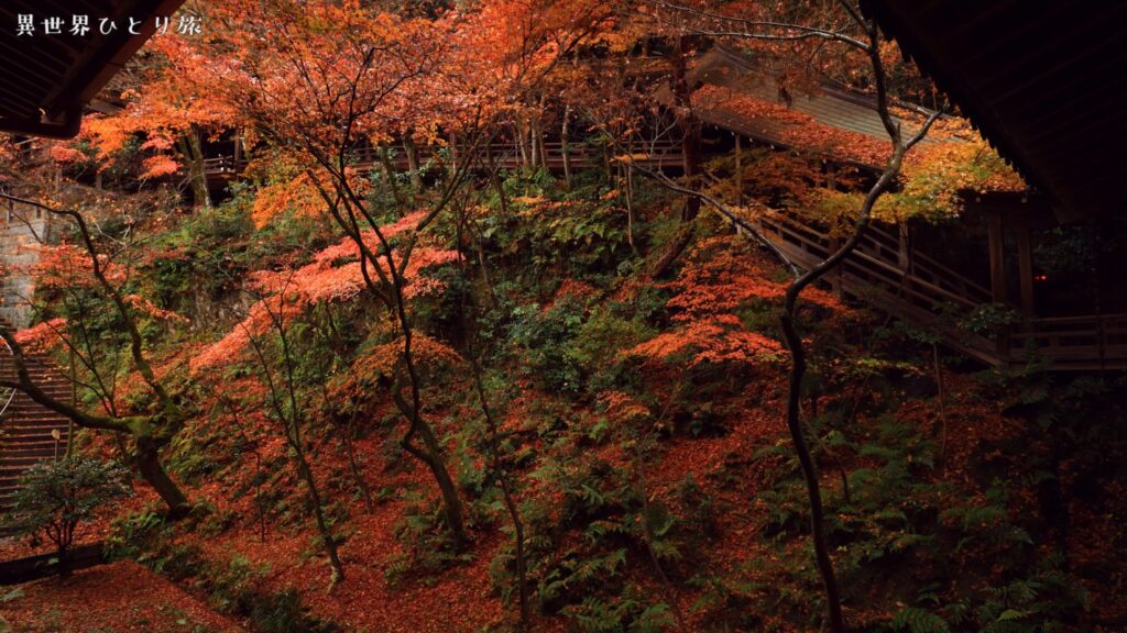 禅林寺（永観堂)｜京都の紅葉