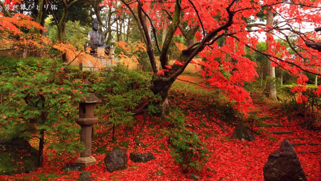 栄摂院｜京都の紅葉