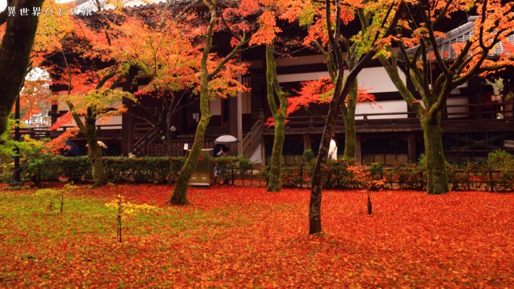 真正極楽寺 (真如堂)｜京都の紅葉