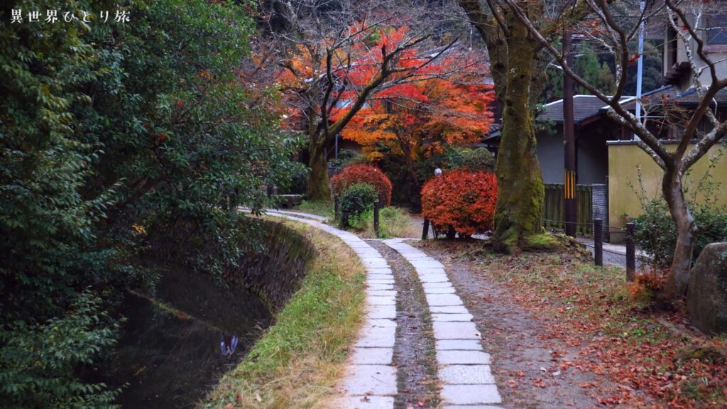 哲学の道｜京都の紅葉