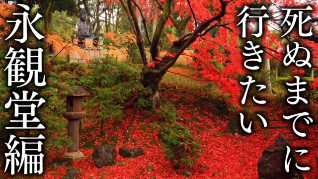【永観堂エリア】死ぬまでに行きたい京都の絶景
