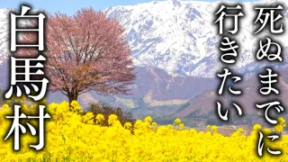 【日本一美しい村】長野県白馬村の絶景スポット16選