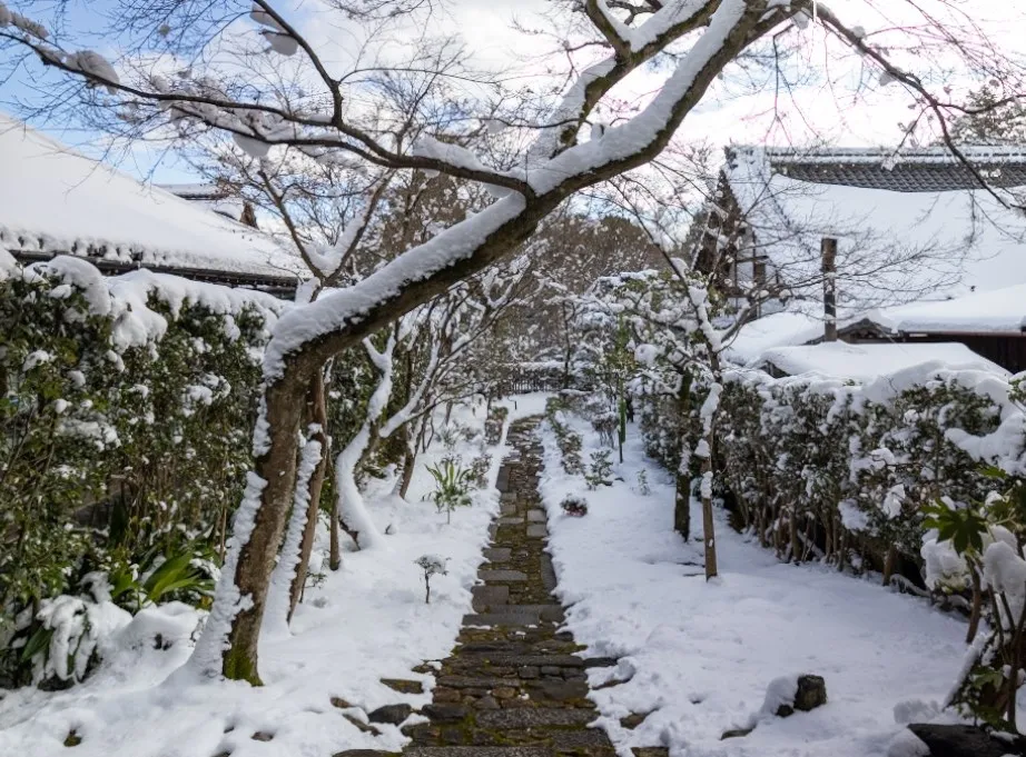 龍安寺（右京区）の雪景色