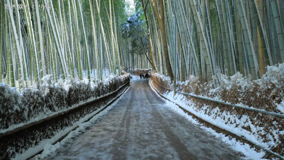 嵐山 竹林の小径、雪景色