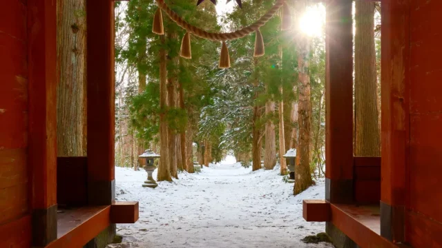 Complete Guide] Togakushi Shrine Five-Shrine Tour on Foot