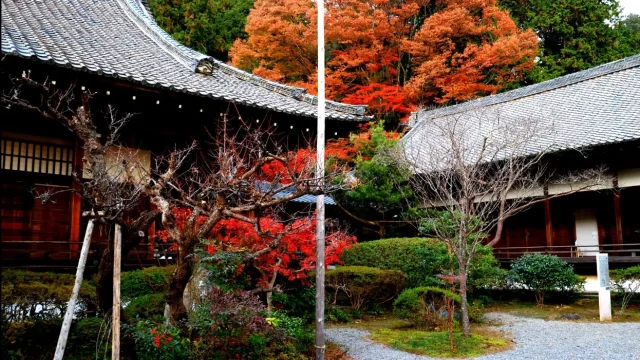 Yamashina Area: 5 Spectacular Views of Kyoto in Autumn