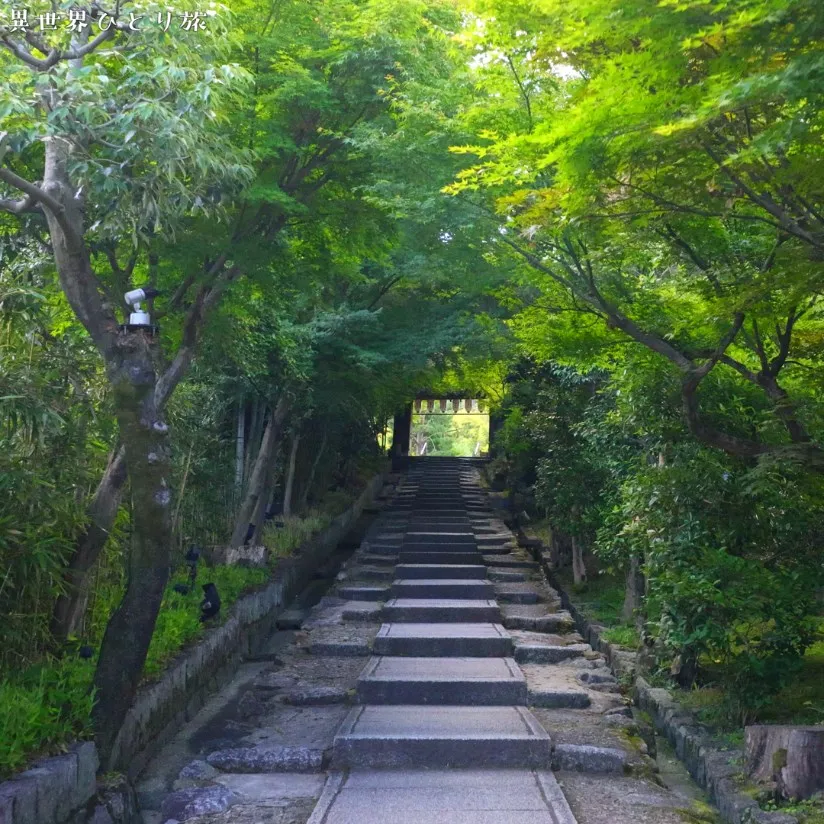 高台寺へと続く道｜京都の夏
