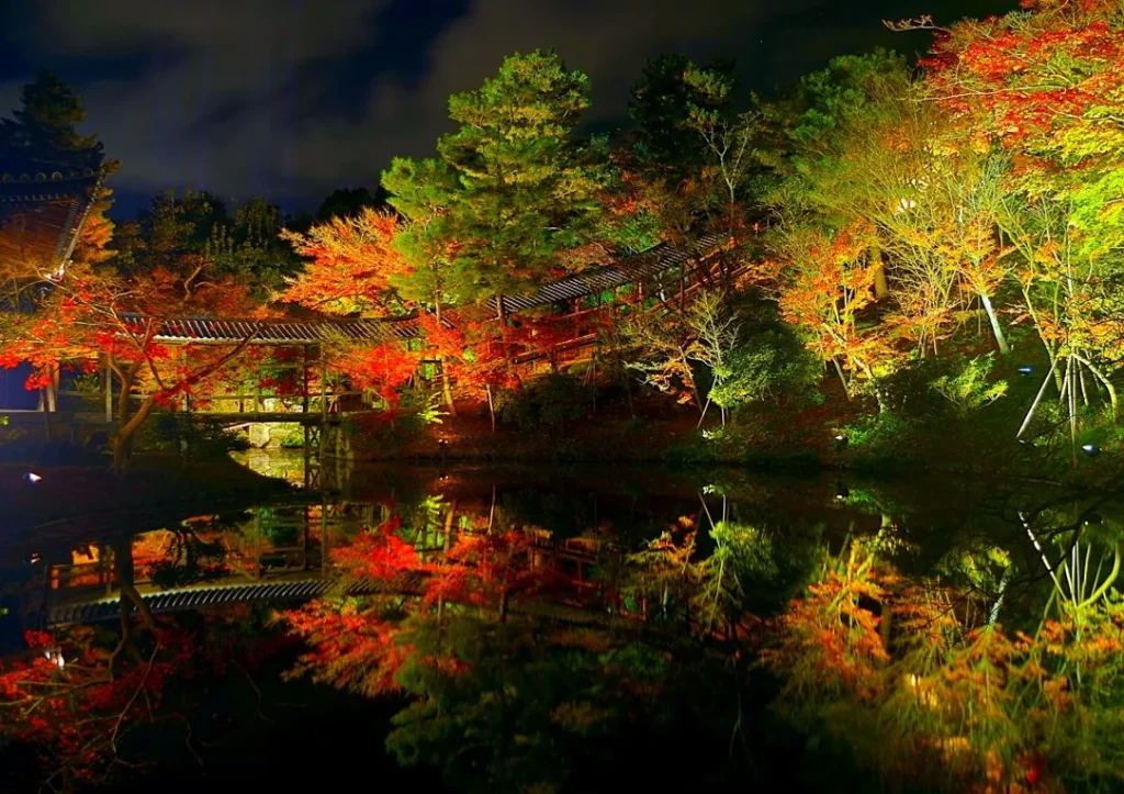高台寺の紅葉ライトアップ｜京都