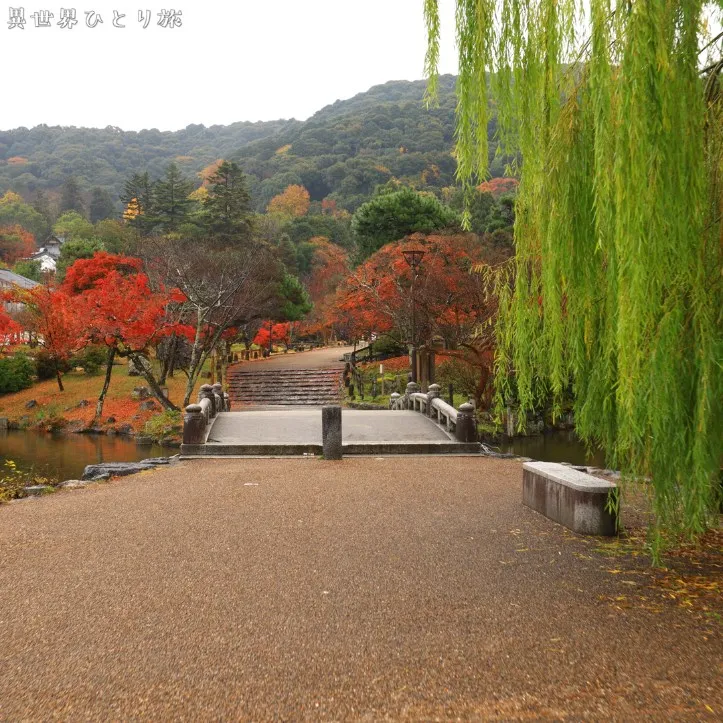 円山公園｜京都の紅葉