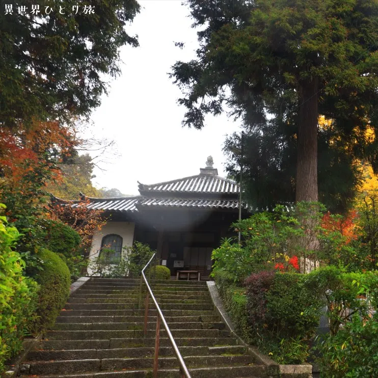 安養寺｜京都の紅葉