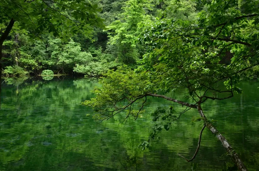 龍ヶ窪（りゅうがくぼ）の池｜新潟の絶景