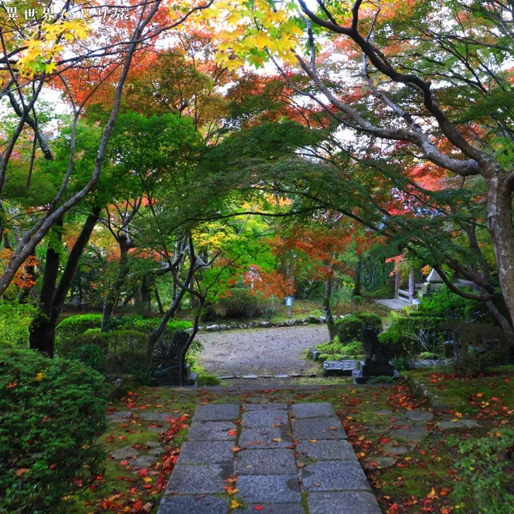 勝持寺、境内｜京都の紅葉