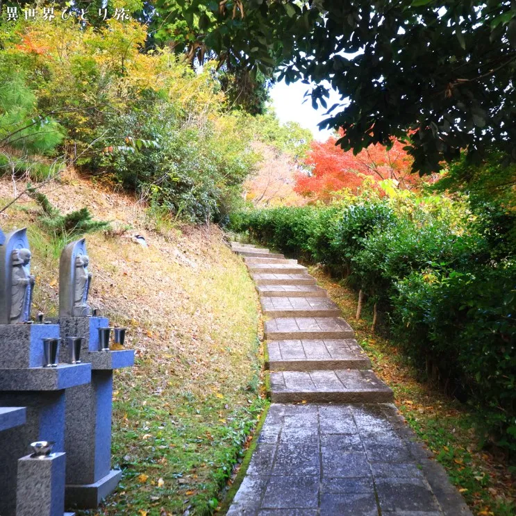 境内の裏手へ回る｜十輪寺（京都）