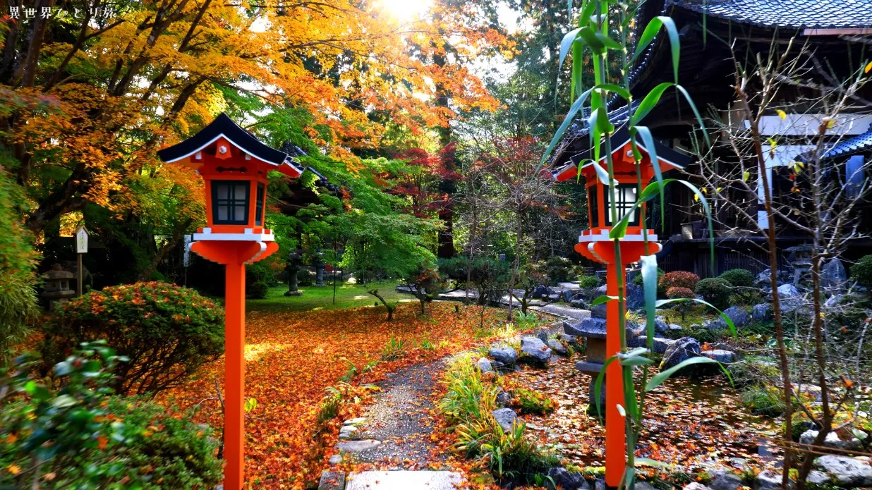 紅葉となりひら桜、十輪寺の絶景スポット（京都西京区）