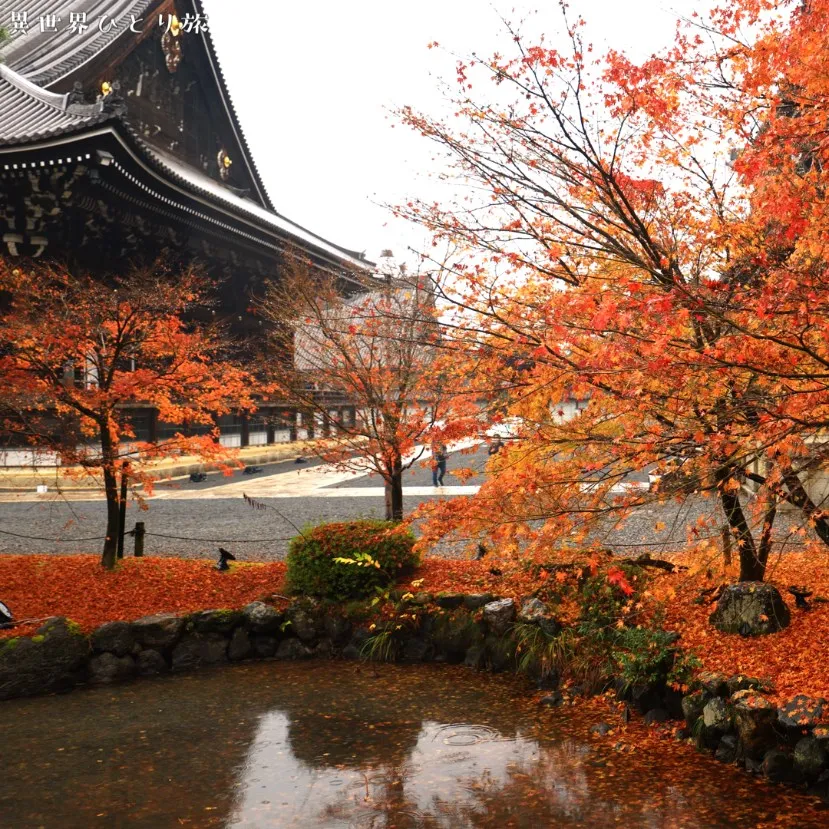 ｜知恩院の紅葉（京都）