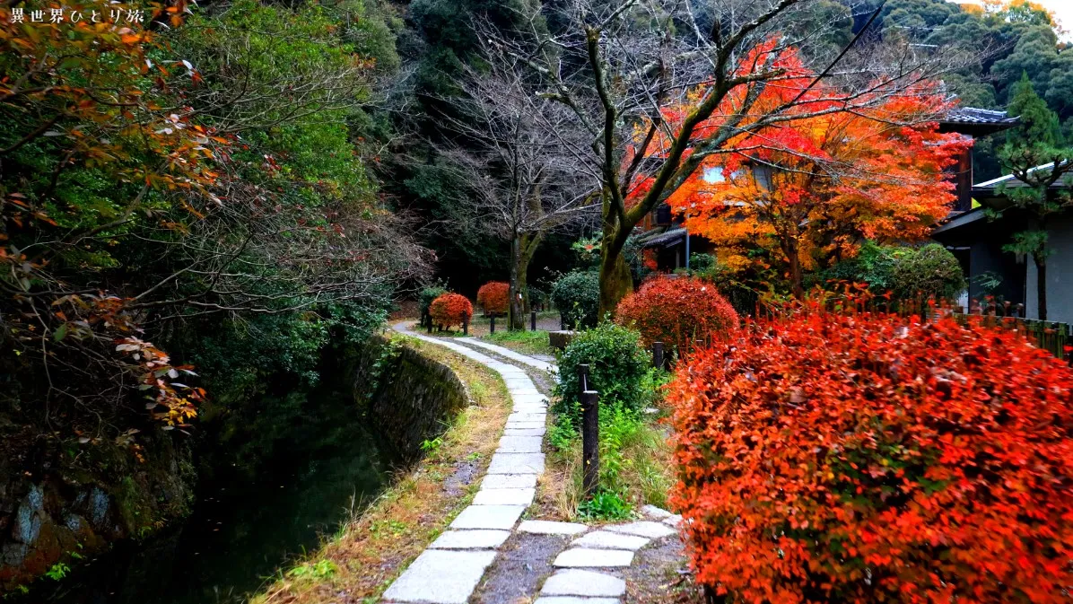 哲学の道の春夏秋冬の絶景（京都左京区）