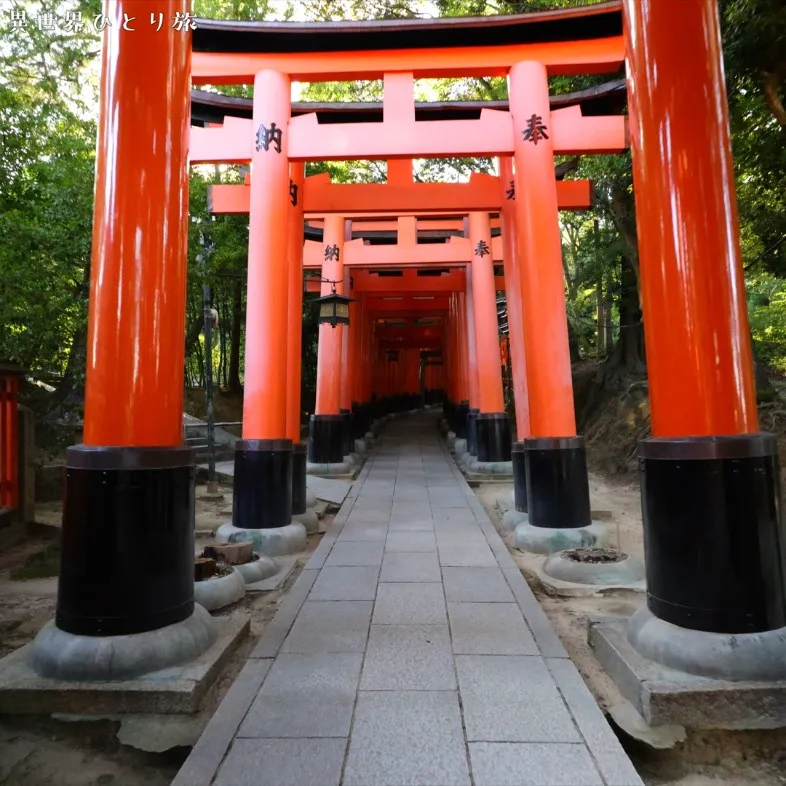 Senbon-torii｜Fushimi Inari-taisha shrine, Kyoto