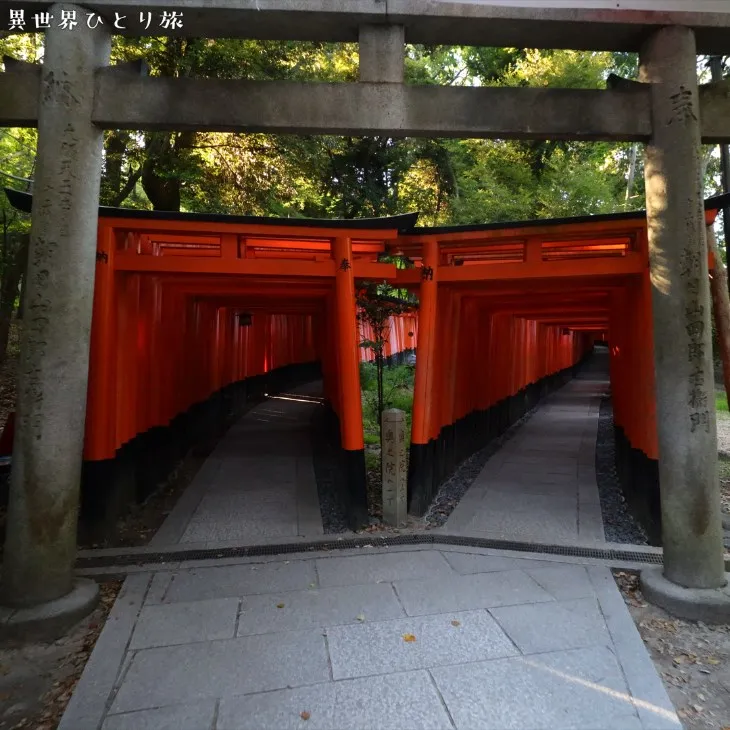 Senbon-torii｜Fushimi Inari-taisha shrine, Kyoto