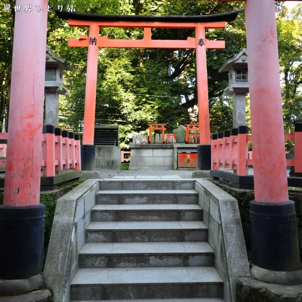Neagari no Matsu｜Fushimi Inari-taisha shrine, Kyoto, Japan