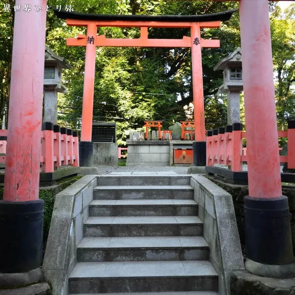 根上りの松｜京都伏見稲荷大社