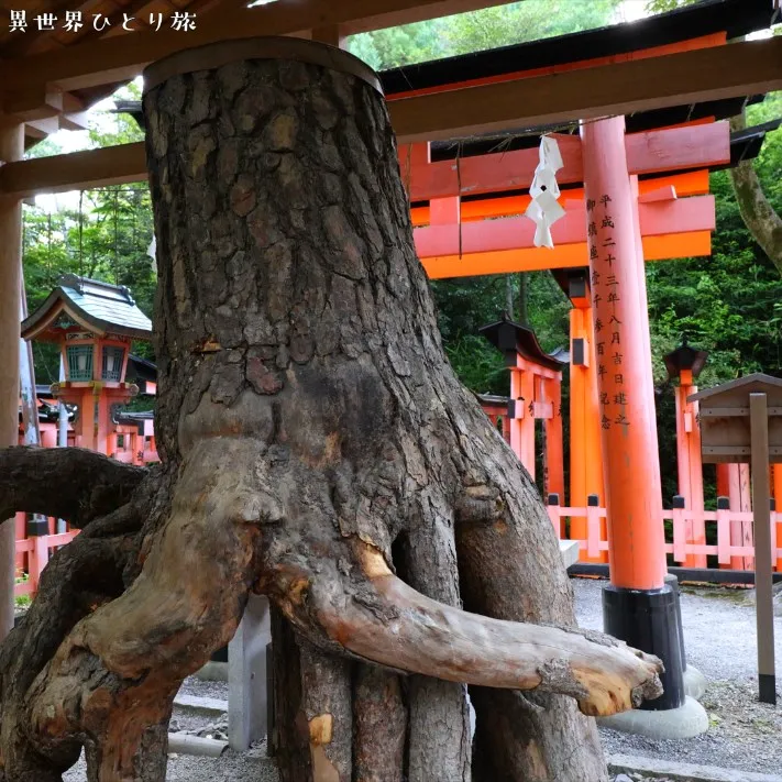 Neagari no Matsu｜Fushimi Inari-taisha shrine, Kyoto, Japan