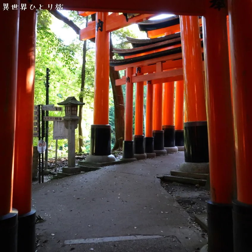 ｜Kyoto Fushimi Inari Taisha Shrine