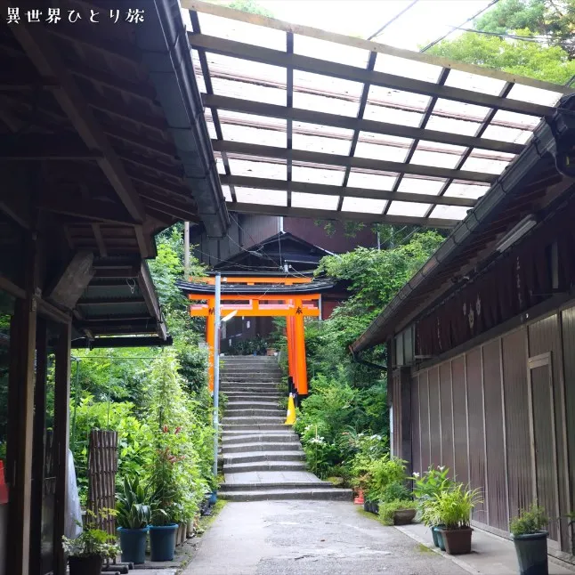 Mitamatei + Kyoya｜Fushimi Inari-taisha, Kyoto