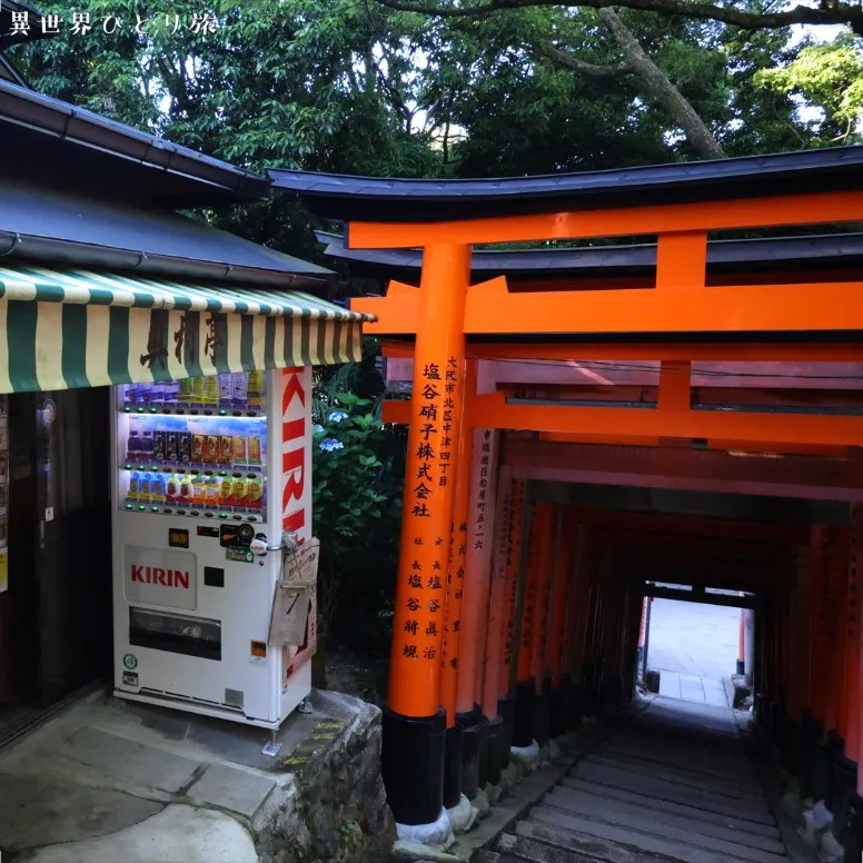 荒神峰（田中社神蹟）+権太夫 奥村亭