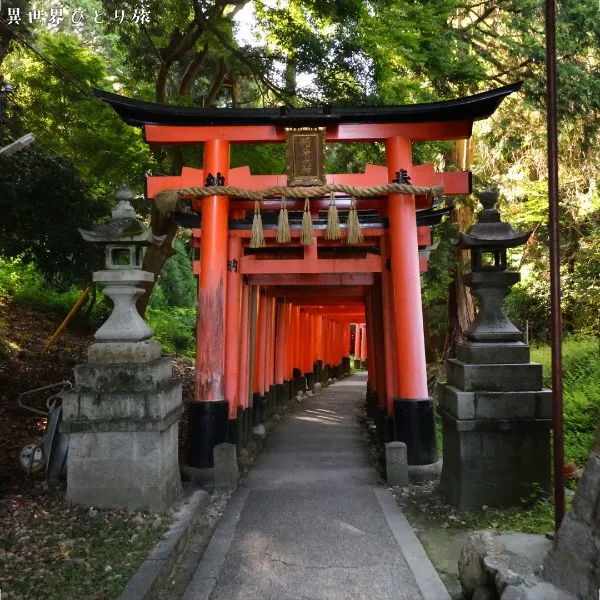 ｜Kyoto Fushimi Inari Taisha Shrine
