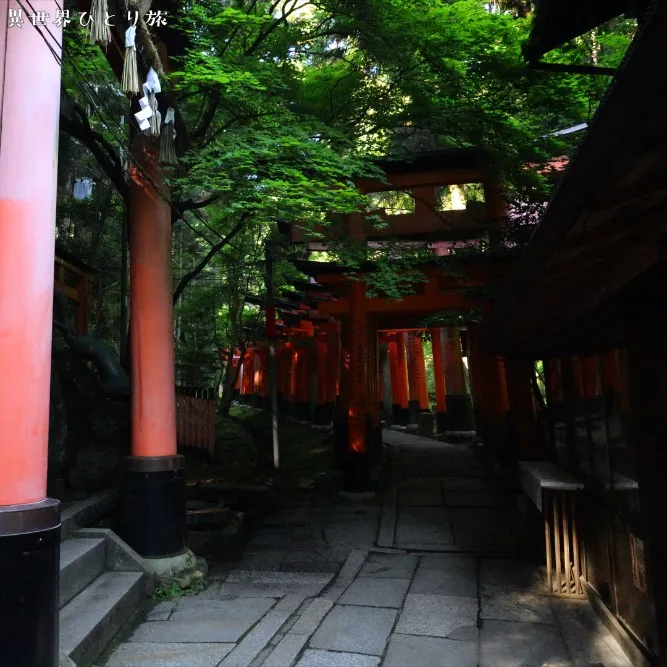 ｜Kyoto Fushimi Inari Taisha Shrine