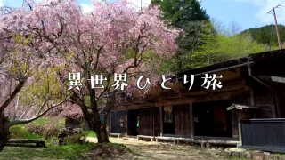 【中山道の桃源郷】一石栃立場茶屋の桜絶景を訪ねて