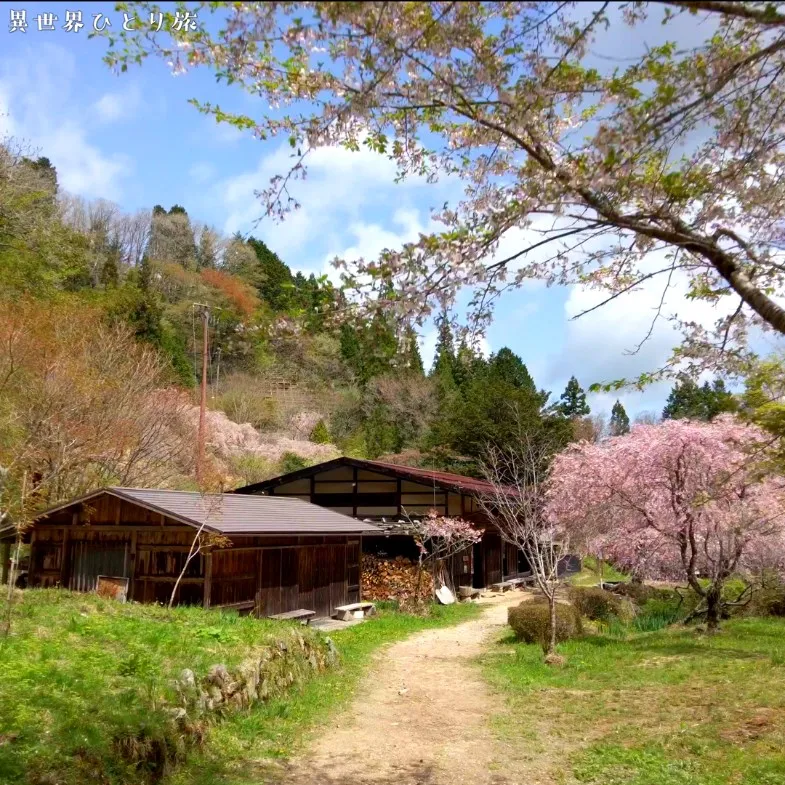 一石栃立場茶屋の基本情報｜長野の桜景色