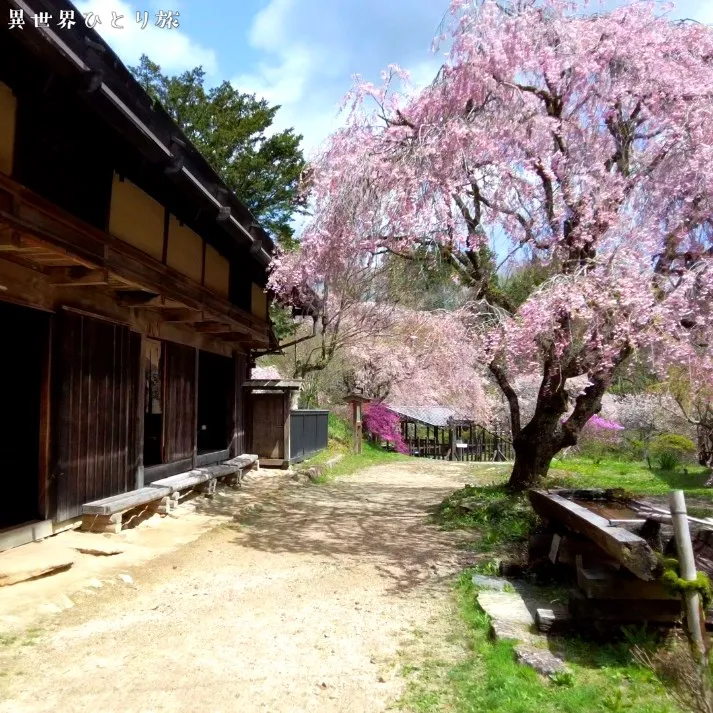 一石栃立場茶屋の基本情報｜長野の桜景色