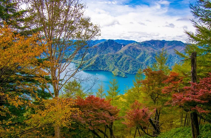 男体山から見る中禅寺湖の紅葉