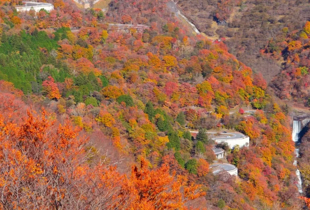 紅葉のいろは坂｜栃木の観光スポット