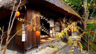 【ちょっといい場所】落柿舎(らくししゃ)を訪ねて｜京都嵯峨